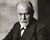 Essays on Sigmund Freud